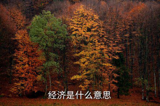 什么經(jīng)濟，什么是商品經(jīng)濟