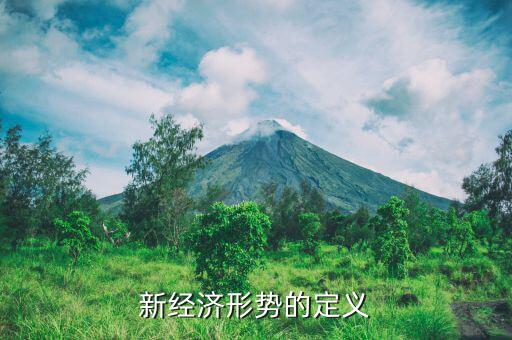 新經(jīng)濟(jì)指什么，新經(jīng)濟(jì)是什么意思