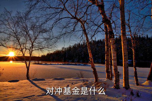 對(duì)沖基金到底是什么，對(duì)沖基金是什么