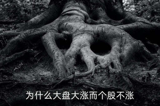 板塊都漲我的個股不長什么原因，為什么大盤大漲而個股不漲
