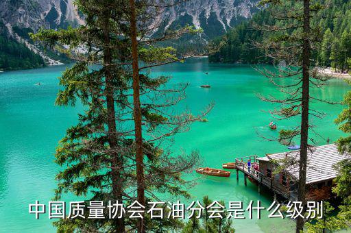 中質(zhì)協(xié)獎(jiǎng)屬于什么級(jí)別，國(guó)藝杯屬于什么級(jí)別的獎(jiǎng)項(xiàng)