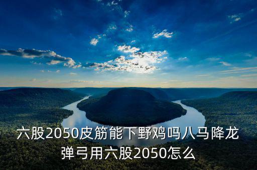 2050四股能下什么貨，2050四股到底配多大的鋼O合適