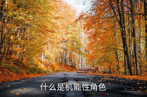 什么是名義剛性，什么是機能性角色