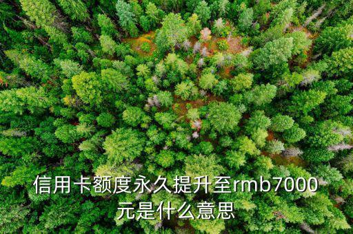 信用卡永久額度是什么意思，信用卡額度永久提升至rmb7000元是什么意思