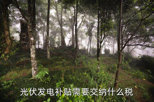 光伏的補(bǔ)貼免什么稅，光伏發(fā)電補(bǔ)貼需要交納什么稅