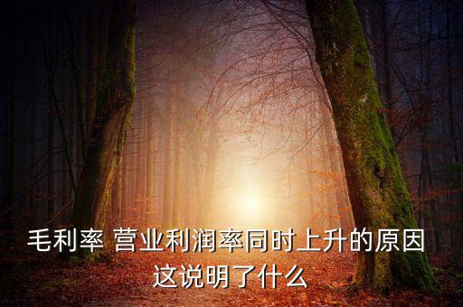 毛利率增長(zhǎng)說明什么，增值稅毛利率的高低說明什么