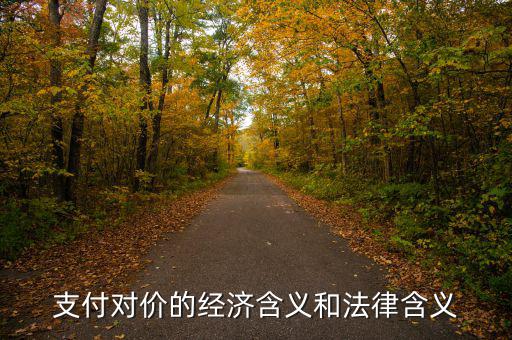 支付對價(jià)的經(jīng)濟(jì)含義和法律含義