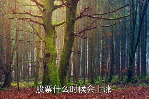 股票在什么情況下才會漲，股票什么時候會上漲