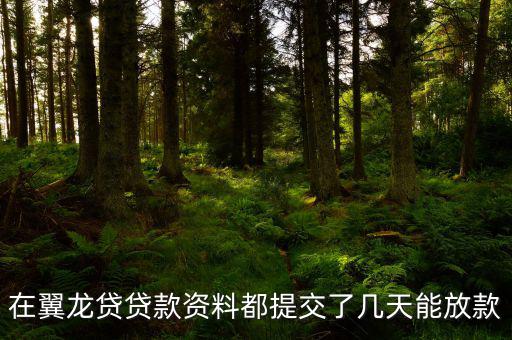 翼龍貸什么時(shí)候放項(xiàng)目，在翼龍貸貸款資料都提交了幾天能放款