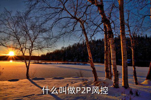 什么是風(fēng)控機(jī)制，白條風(fēng)控是什么意思