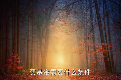 買基金有什么條件，買基金都需要什么條件啊