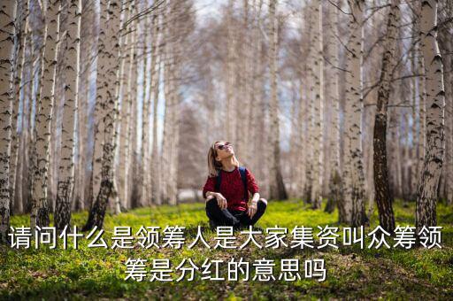 什么是領(lǐng)投人，請(qǐng)問什么是領(lǐng)籌人是大家集資叫眾籌領(lǐng)籌是分紅的意思嗎