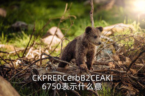 分類調(diào)控是什么意思，CKPRERCerbB2CEAKI6750表示什么意