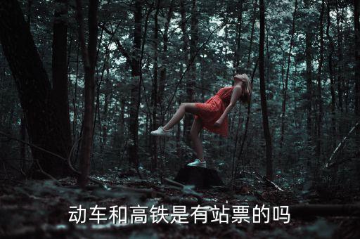 為什么高鐵沒(méi)有站票，為什么高鐵沒(méi)有站票