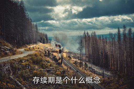 什么是貸款存續(xù)期，什么叫存續(xù)期看百度百科看不懂求簡(jiǎn)單易懂的解釋