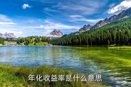 14日年化收益率是什么意思，年化收益率什么意思