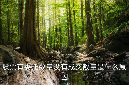 股票沒(méi)有成交量是什么情況，為什么股票沒(méi)有成交