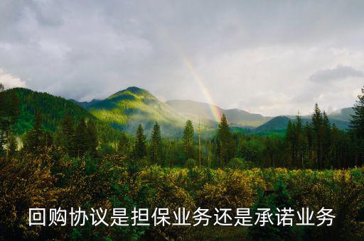 資產(chǎn)回購協(xié)議屬什么合同，股權(quán)轉(zhuǎn)讓及回購協(xié)議屬于借款合同嗎