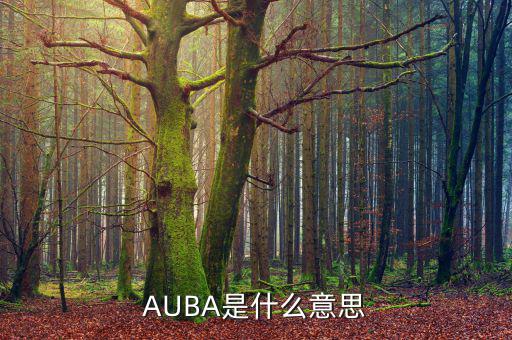 華夏現(xiàn)金增利貨幣a是什么，AUBA是什么意思