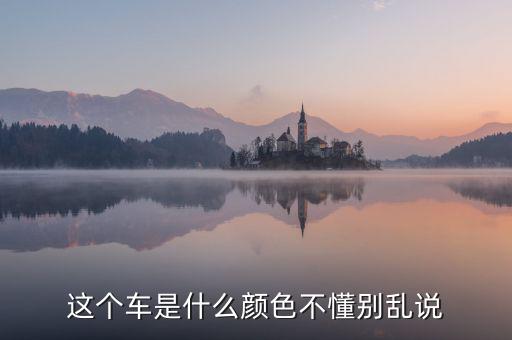 尼日利亞的國車是什么顏色，GIN的車子是什么牌子什么顏色的
