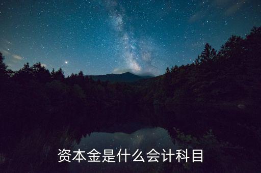 資本金是什么會計(jì)科目