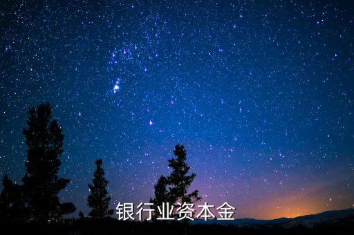 銀行資本金是什么，銀行業(yè)資本金