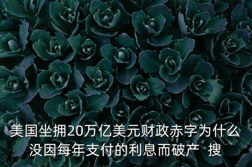 美國(guó)坐擁20萬億美元財(cái)政赤字為什么沒因每年支付的利息而破產(chǎn)  搜