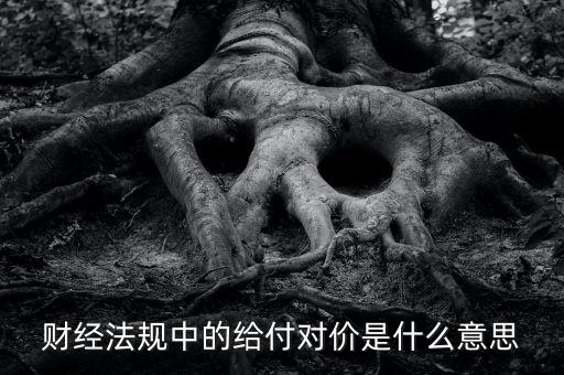 支付對價(jià)是什么意思，財(cái)經(jīng)法規(guī)中的給付對價(jià)是什么意思