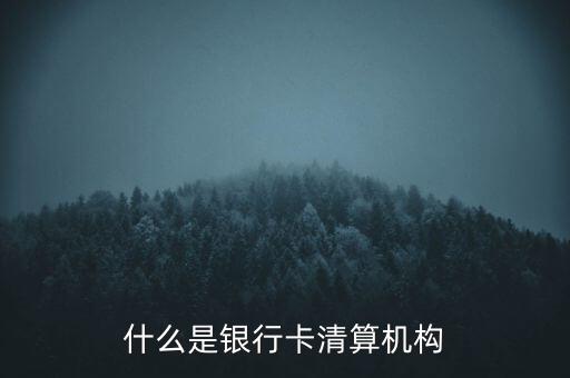同一卡組織清算機(jī)構(gòu)指什么，銀行卡清算機(jī)構(gòu)銀行支付機(jī)構(gòu)到底有什么區(qū)
