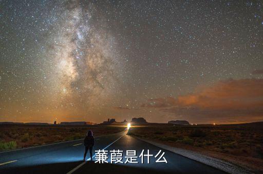 什么蒹施，蒹葭是什么意思