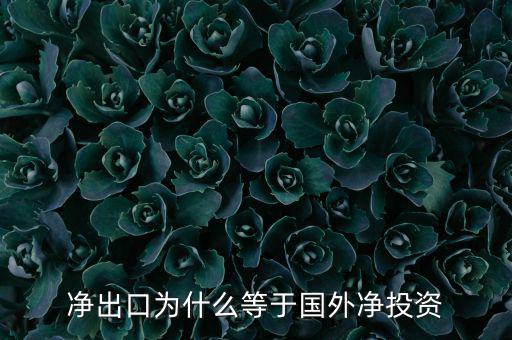國(guó)外凈投資是什么，凈出口為什么等于國(guó)外凈投資