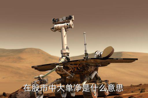 大單凈值什么意思，大單凈比是什么意思