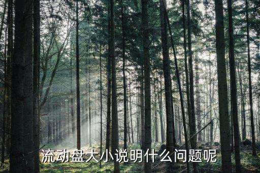 流通盤大小是什么意思，流通盤大小作用等