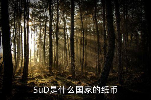 sud是什么貨幣，SUD是什么貨幣單位