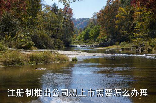 注冊制上市要什么條件，注冊制推出公司想上市需要怎么辦理