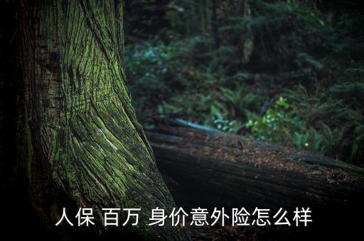  人保 百萬 身價意外險(xiǎn)怎么樣
