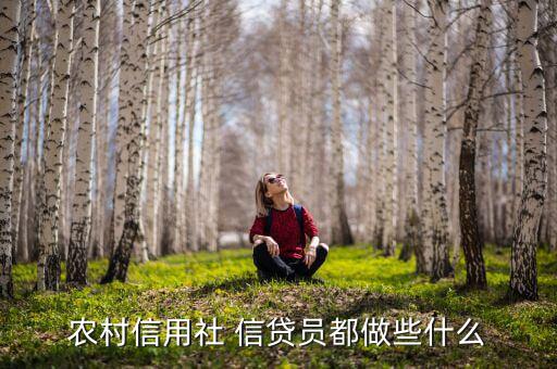 做金融信貸該怎么做,農(nóng)村信用社信貸工作介紹:一、放貸貸款