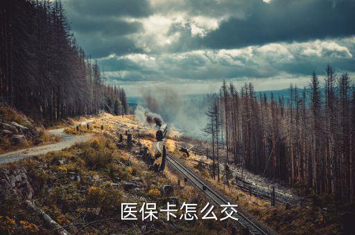 醫(yī)?？ㄔ趺蠢U納,如何繳納職工醫(yī)保?