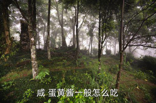 人造蛋黃醬怎么吃,蛋黃醬可用于面包沙拉、壽司等