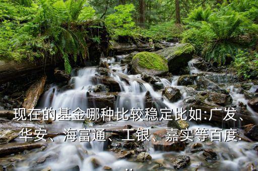 現(xiàn)在的基金哪種比較穩(wěn)定比如:廣發(fā)、 華安、海富通、工銀、嘉實(shí)等百度...