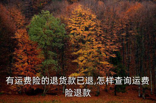 用手機(jī)怎么查退運(yùn)險(xiǎn),運(yùn)費(fèi)險(xiǎn)已生效退款不退損失不會得到賠償