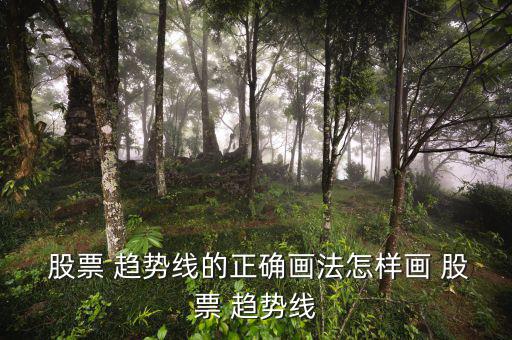  股票 趨勢(shì)線(xiàn)的正確畫(huà)法怎樣畫(huà) 股票 趨勢(shì)線(xiàn)