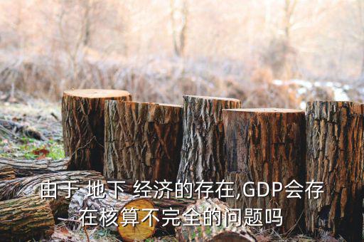 由于 地下 經(jīng)濟(jì)的存在,GDP會存在核算不完全的問題嗎