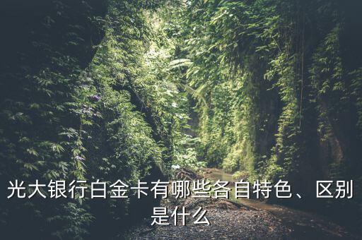 光大銀行白金卡有哪些各自特色、區(qū)別是什么
