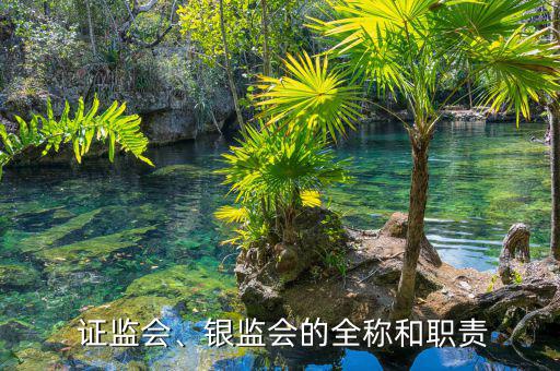  證監(jiān)會、銀監(jiān)會的全稱和職責(zé)
