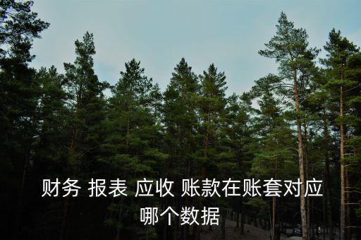 應(yīng)收賬款怎么計(jì)入財務(wù)報表,財務(wù)報表包括應(yīng)收賬款和預(yù)付款項(xiàng)
