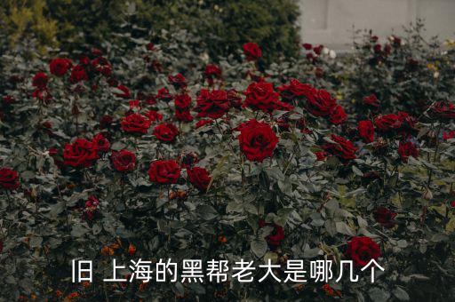 上?；バ沤鹑谠趺礃?上海五國會議機(jī)制前身是五國集團(tuán)主席