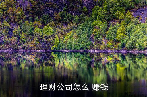  理財(cái)公司怎么 賺錢(qián)