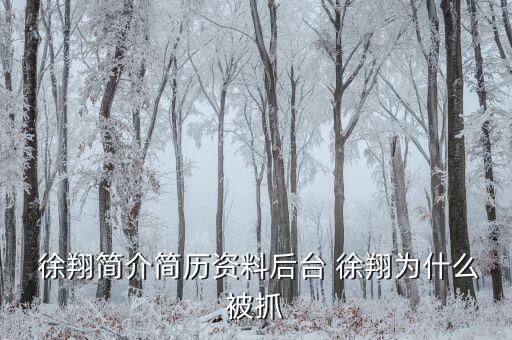 徐翔是怎么回事,徐翔、王偉、犯受賄罪被判入獄五年半