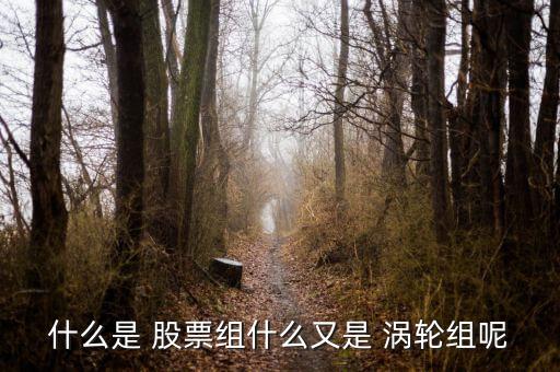 股票渦輪怎么算,股票group是專(zhuān)門(mén)炒股的群體股票